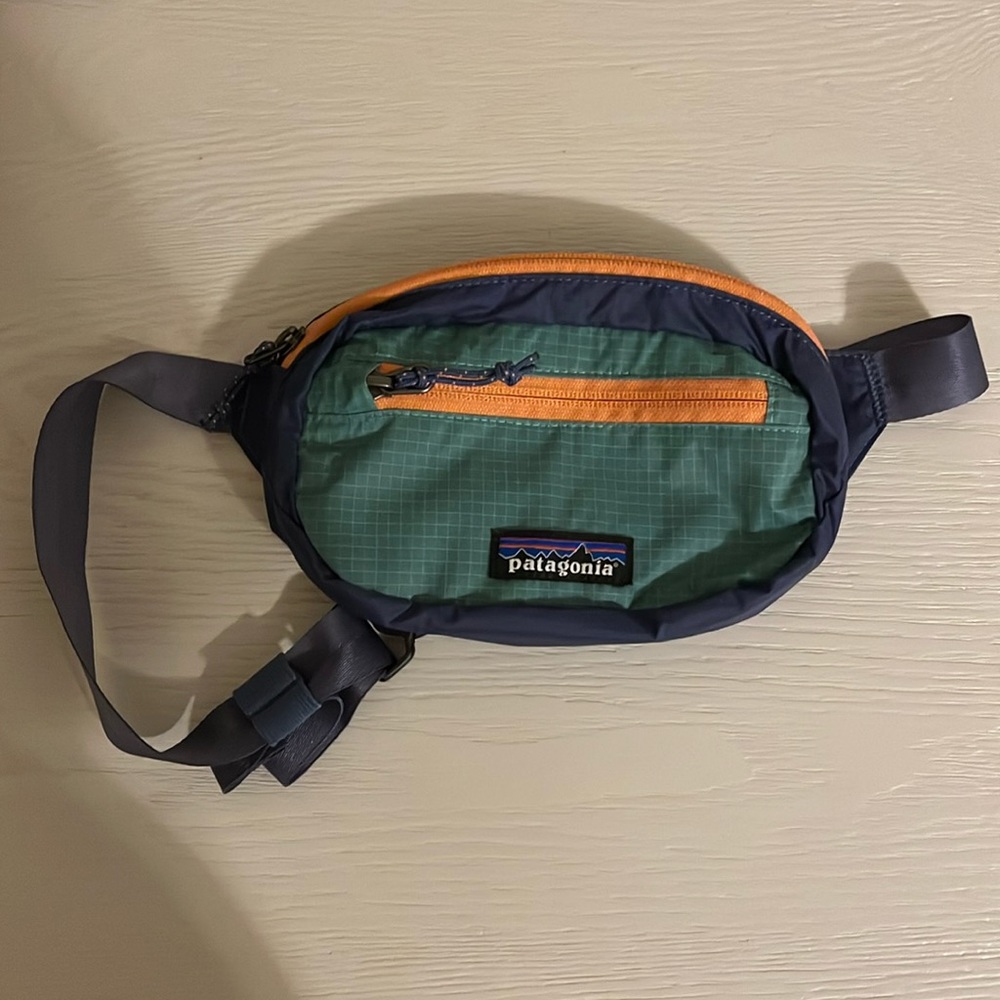 Patagonia Fanny Pack